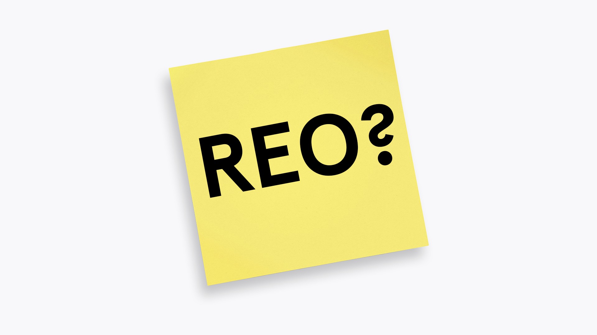 What Does Real Estate Owned (REO) Mean?