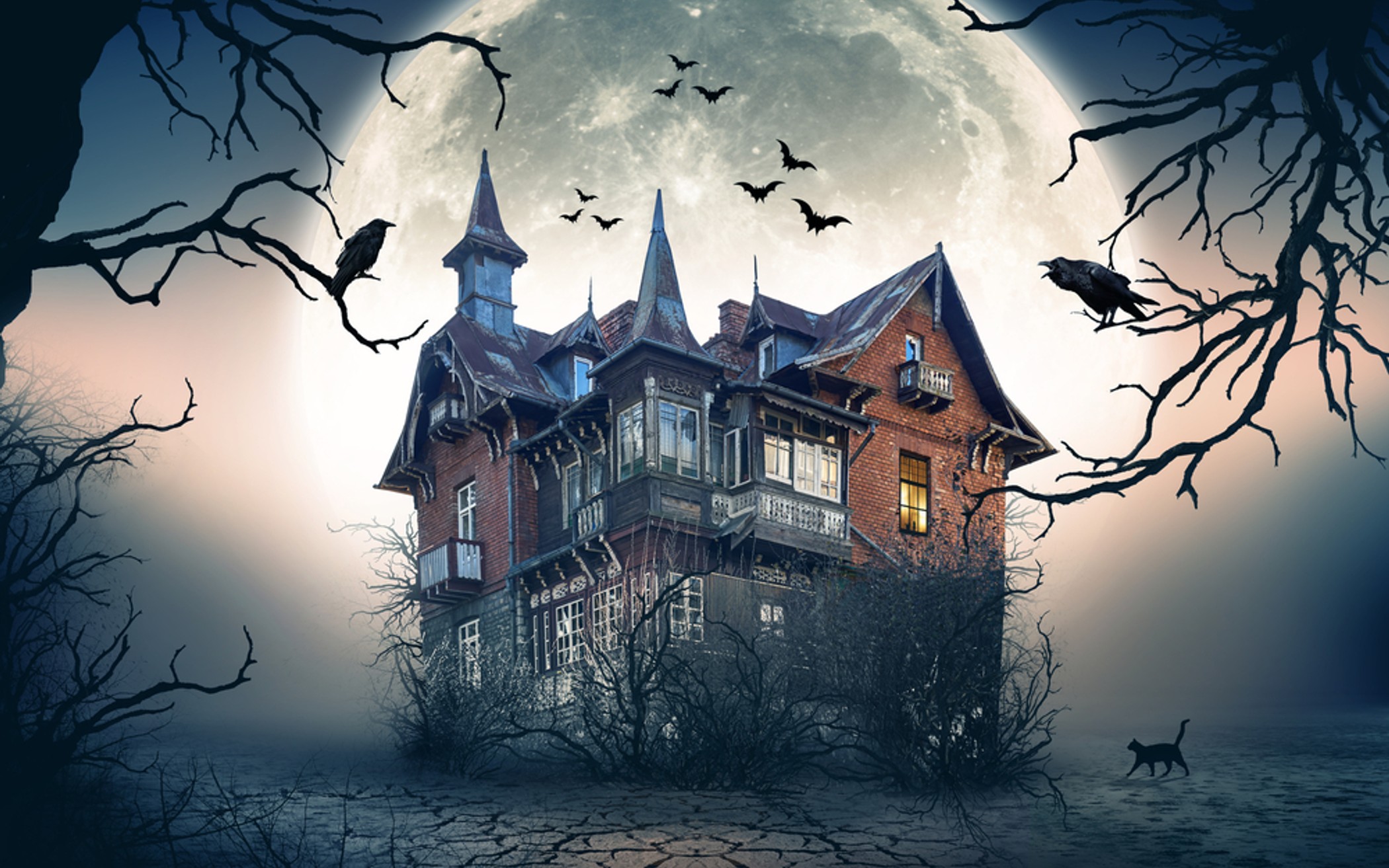 Reagindo A Spooky House