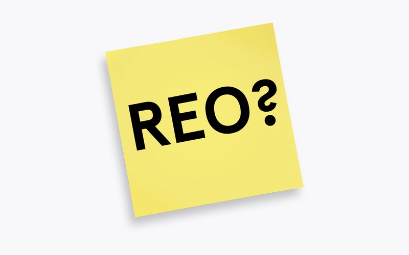 What Does Real Estate Owned (REO) Mean?
