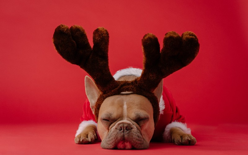 How to Create a Realistic Holiday Budget